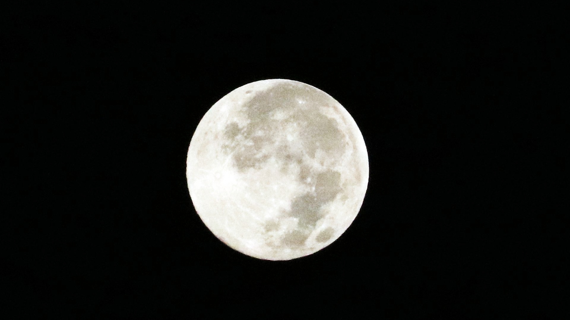 Luna Llena Lobo de Hoy 25 de Enero 2024 Deslumbra al Amanecer en CDMX
